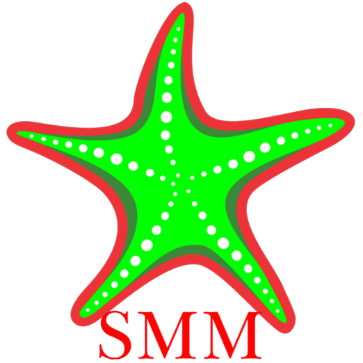 Starfish Myanmar Microfinance Logo
