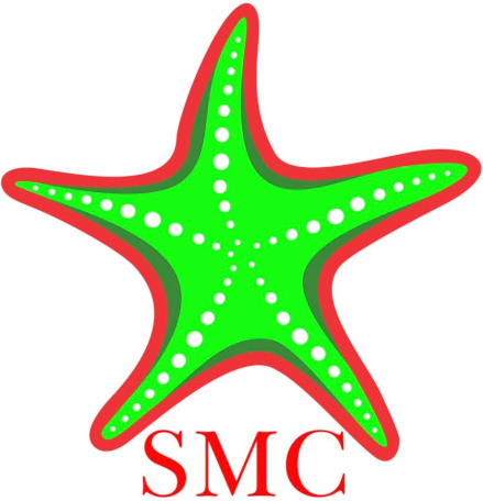 Starfish Myanmar Logo